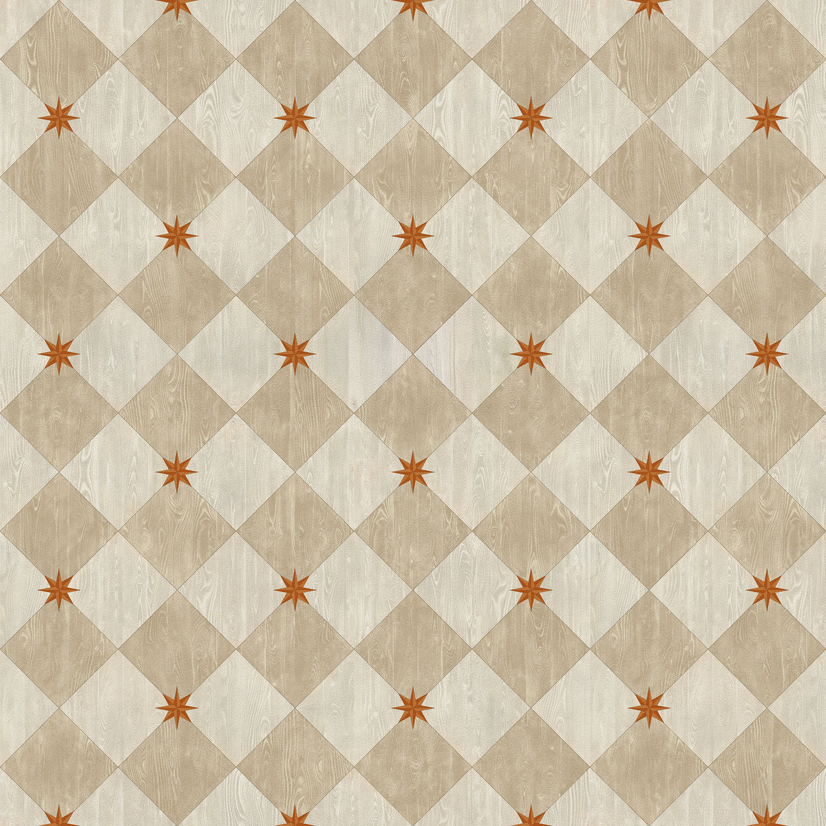 Vintage Vinyl Rug - Compass Diamond - Gala at the Garden