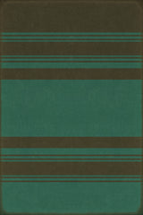 Organic Stripes Black and Teal