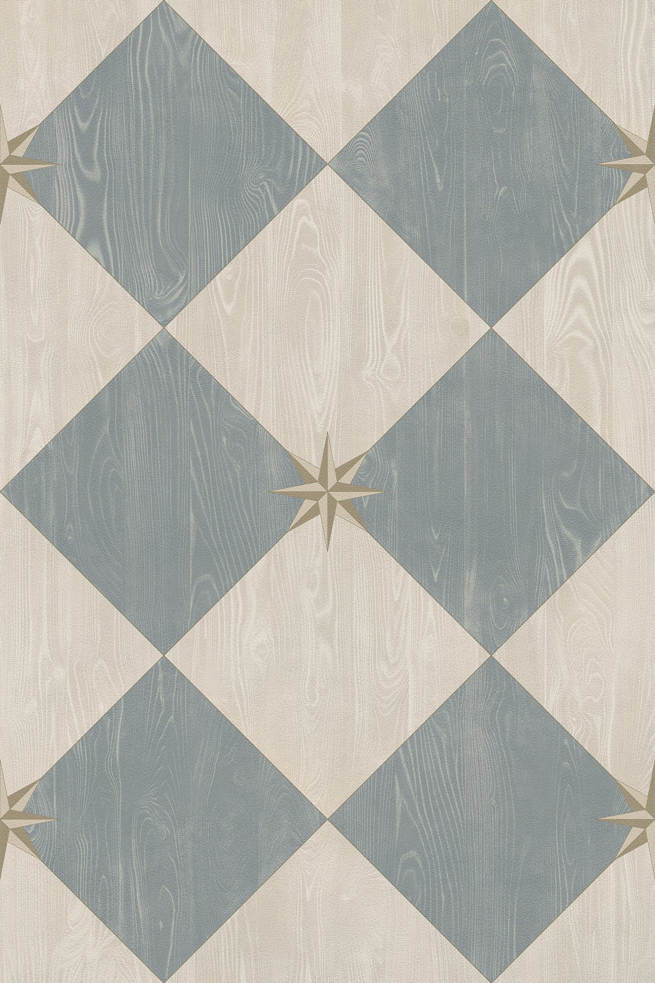 Vintage Vinyl Rug - Compass Diamond - Garden Fountain