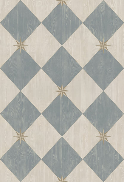 Vintage Vinyl Rug - Compass Diamond - Garden Fountain