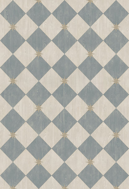 Vintage Vinyl Rug - Compass Diamond - Garden Fountain