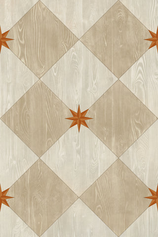 Vintage Vinyl Rug - Compass Diamond - Gala at the Garden