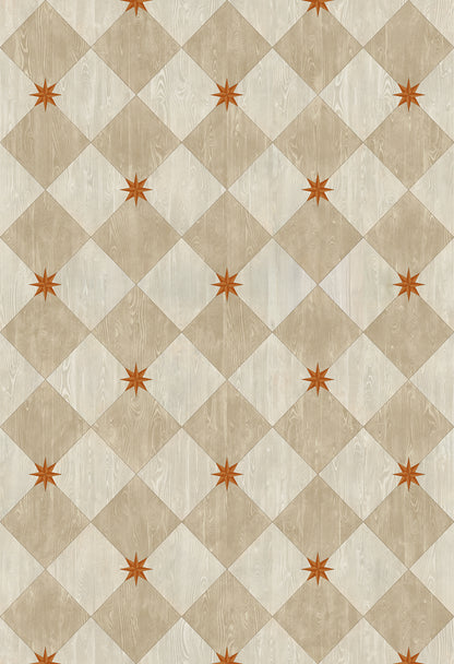 Vintage Vinyl Rug - Compass Diamond - Gala at the Garden