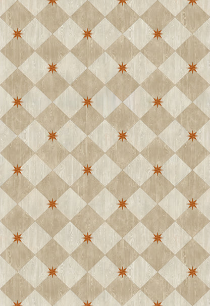 Vintage Vinyl Rug - Compass Diamond - Gala at the Garden