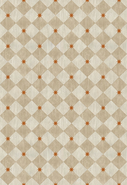 Vintage Vinyl Rug - Compass Diamond - Gala at the Garden