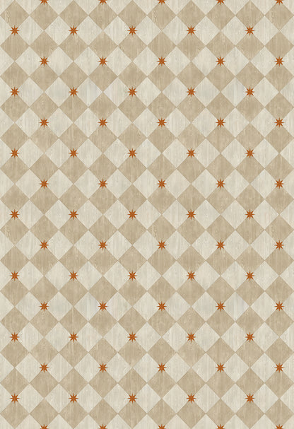 Vintage Vinyl Rug - Compass Diamond - Gala at the Garden