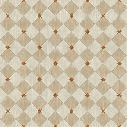 Vintage Vinyl Rug - Compass Diamond - Gala at the Garden