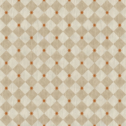 Vintage Vinyl Rug - Compass Diamond - Gala at the Garden