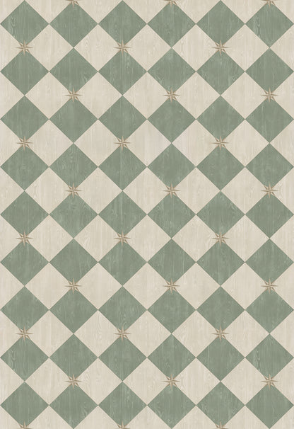 Vintage Vinyl Rug - Compass Diamond - Garden Arbor