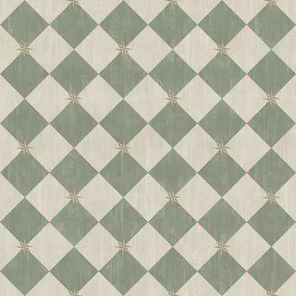 Vintage Vinyl Rug - Compass Diamond - Garden Arbor