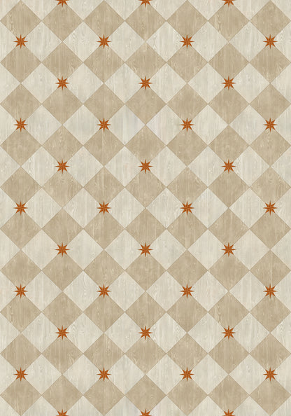 Vintage Vinyl Rug - Compass Diamond - Gala at the Garden