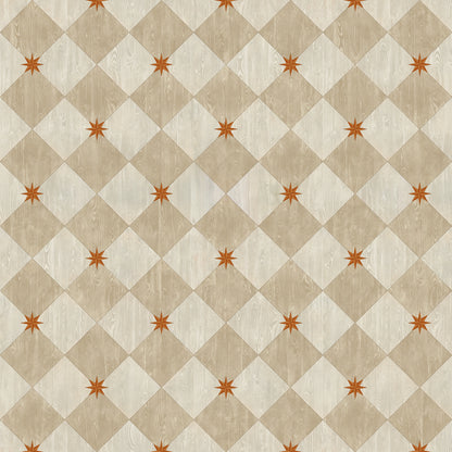 Vintage Vinyl Rug - Compass Diamond - Gala at the Garden