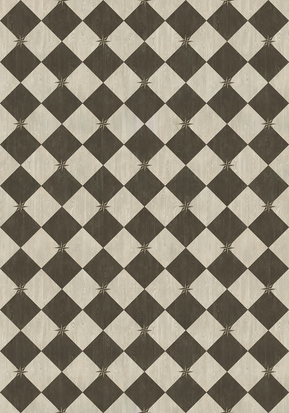 Vintage Vinyl Rug - Compass Diamond - Garden Allée