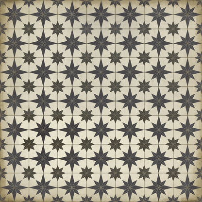 Vintage Vinyl Rug - Pattern 20 - Astraea