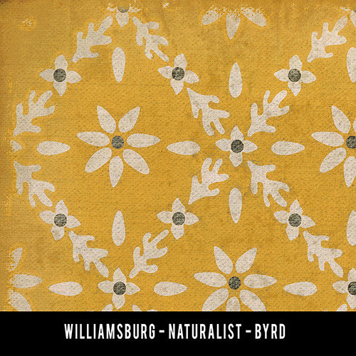 Vintage Vinyl Rug - Naturalist - Byrd - Samples